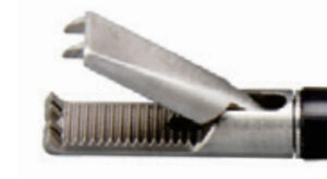 2482116676_zatiskach-za-manesom-1.jpg