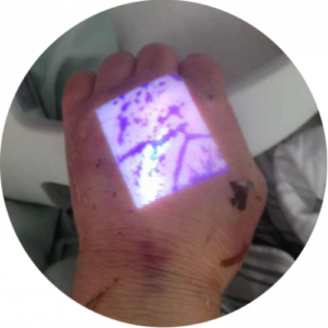 2795579981_vizualizator-ven-vivo.png