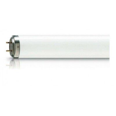 2428782310_lampa-philips-tl.jpg