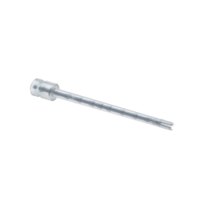 2970705695_s-10-d.png